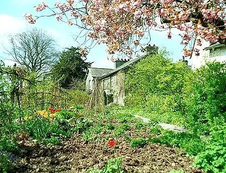 Adam Place Гостевой дом Уиндермир